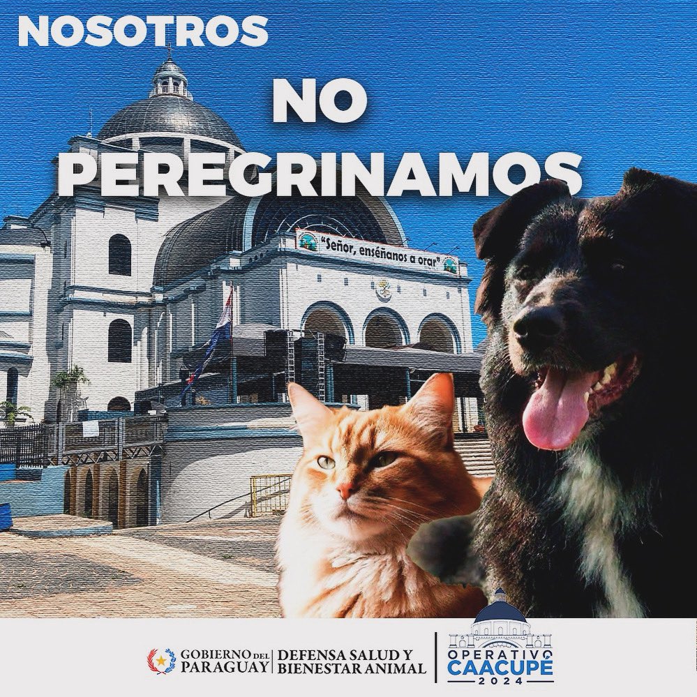 defensanimalpy's tweet photo. 🐾 ¡Ellos no peregrinan, cuida de tus mascotas y animales! 🐾
La Dirección Nacional de Defensa, Salud y Bienestar Animal recuerda a la ciudadanía que las mascotas no deben participar de la peregrinación a Caacupé. https://t.co/08PLMM9f9W