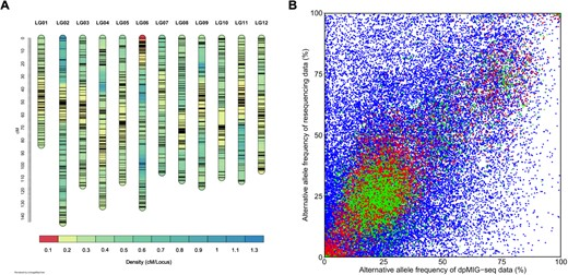 dpMIG-seq effectively genotypes tetraploid blueberry with high accuracy &amp; low DNA. #PolyploidGenotyping <a href="/OxfordJournals/">Oxford Journals</a> 
Details:doi.org/10.1093/hr/uha…