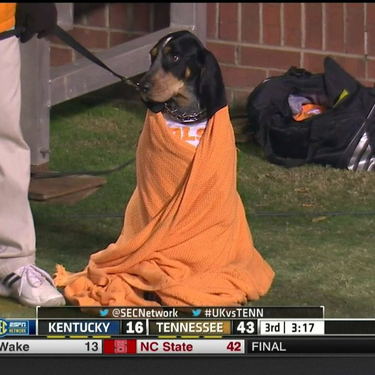UTSmokey_00's tweet image. A reminder from my pal to bundle up and stay warm today…and to be glad you aren’t a Kentucky fan. #GoVols