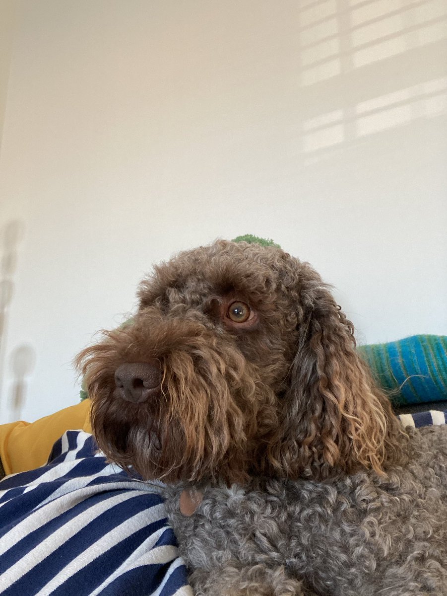 Shaun J Booth🤍💛💙 tweet media