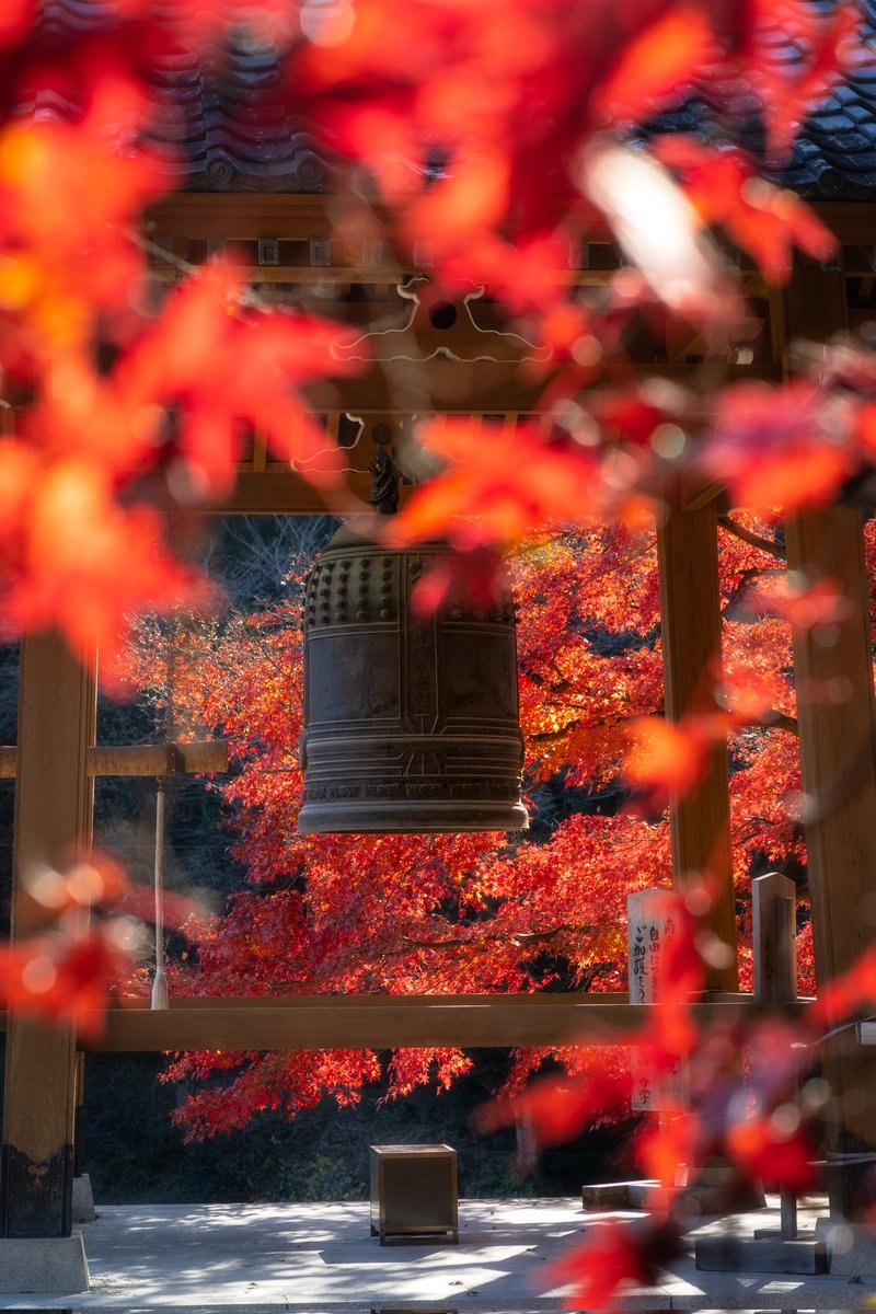 03Ns1996's tweet photo. 四季の彩り
#tokyocameraclub 
#東京カメラ部 https://t.co/6rNVSCHwxS