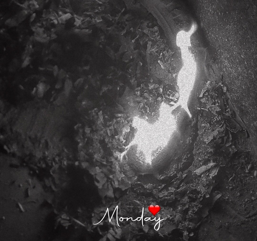 आज मौसम बहुत ठंडा है....
चलो कुछ ख्वाहिशों को आग लगाते है।

Today I burnt all my old love letters. 🙂