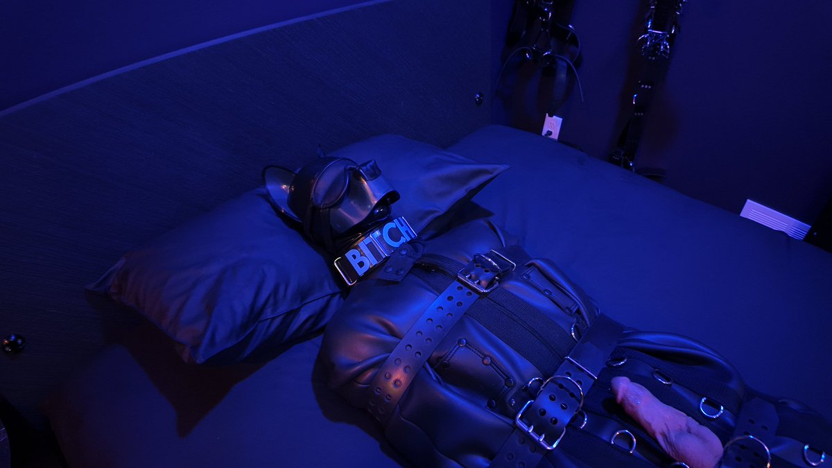 SwKinkySwitch tweet media