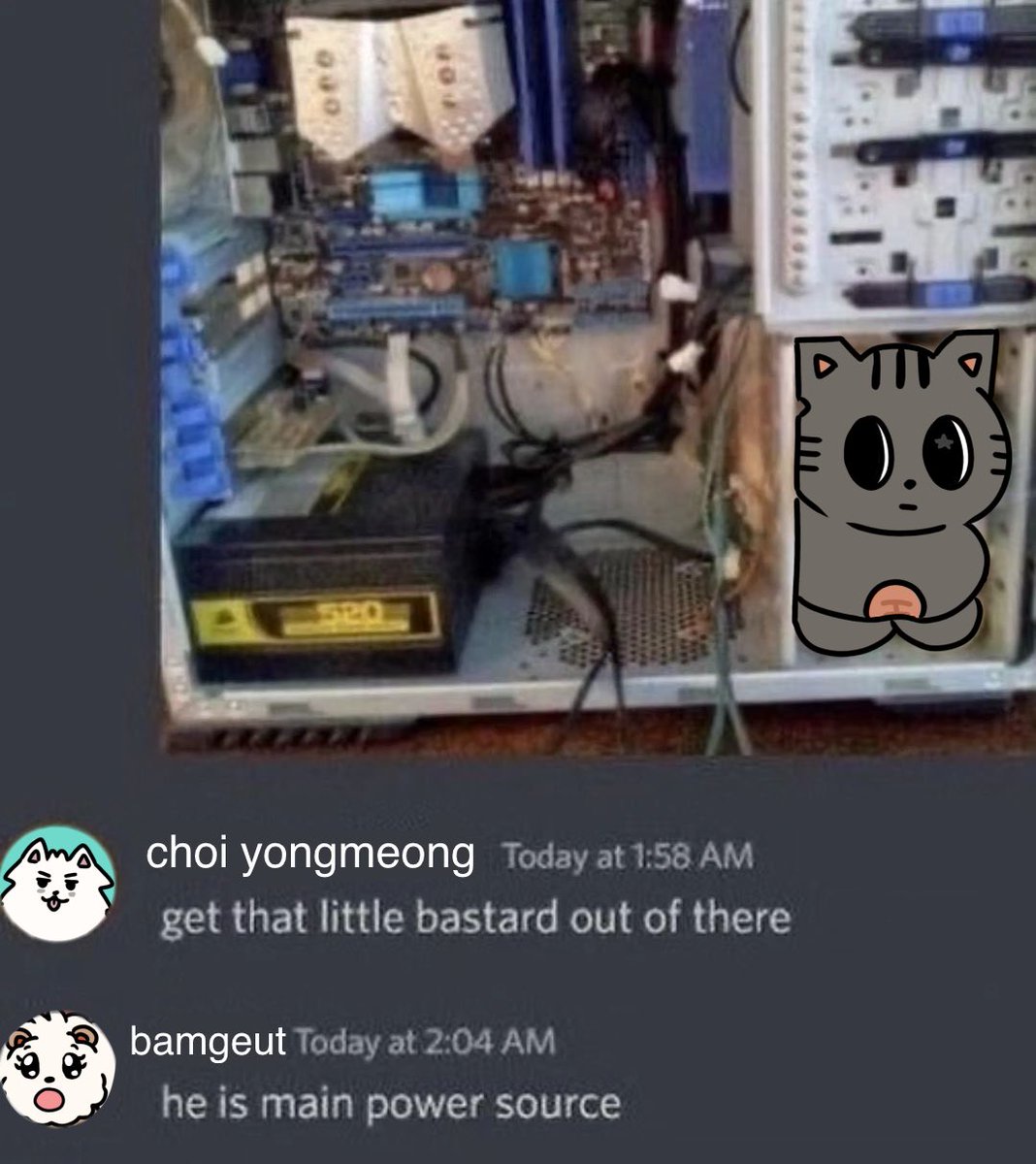 ً꒰ᐢ. .ᐢ꒱ tweet media