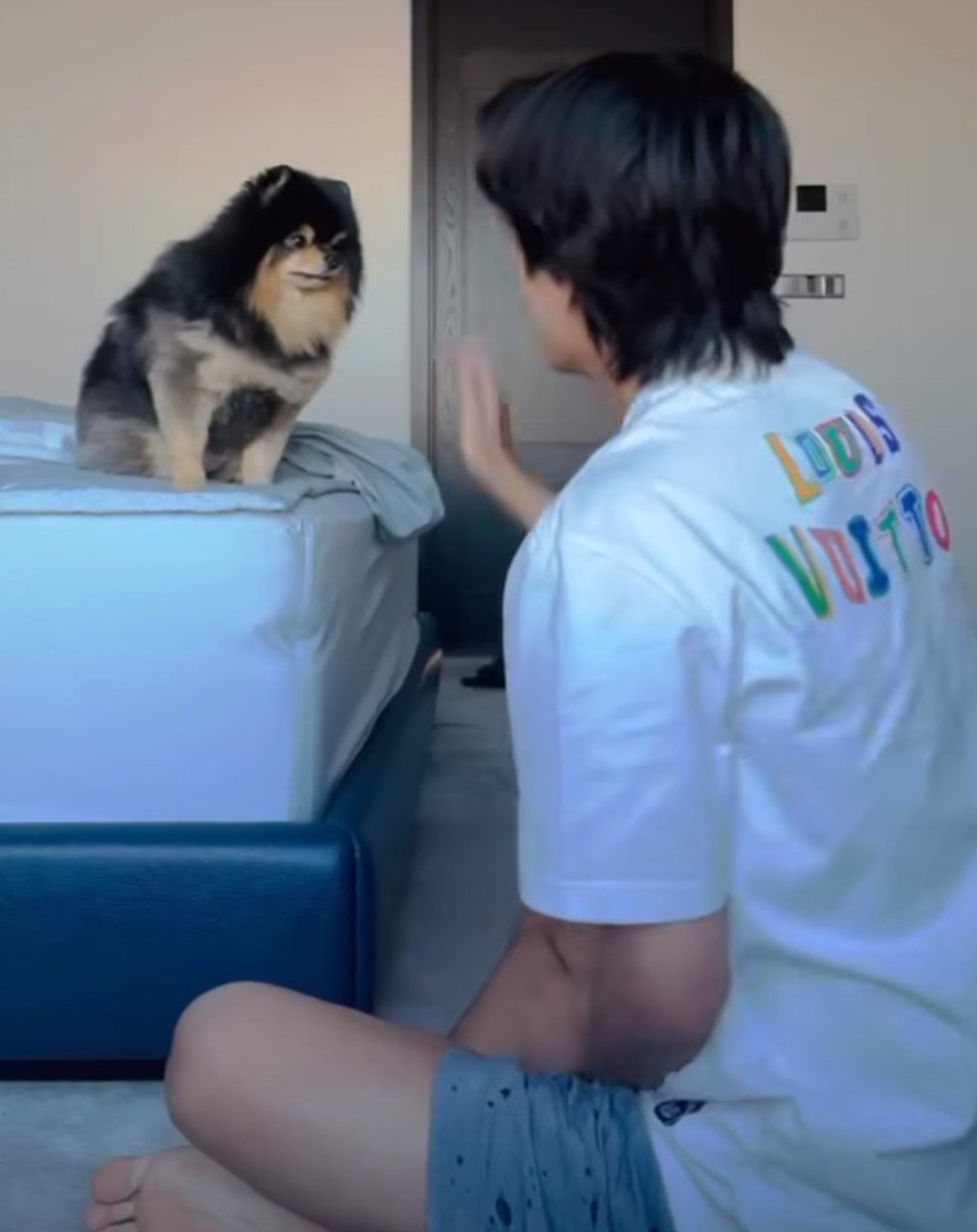 Pavito_21's tweet photo. Regresen a Yeontan, prometo que ya no le diré toyota 😞 https://t.co/K3DwXKoTAP