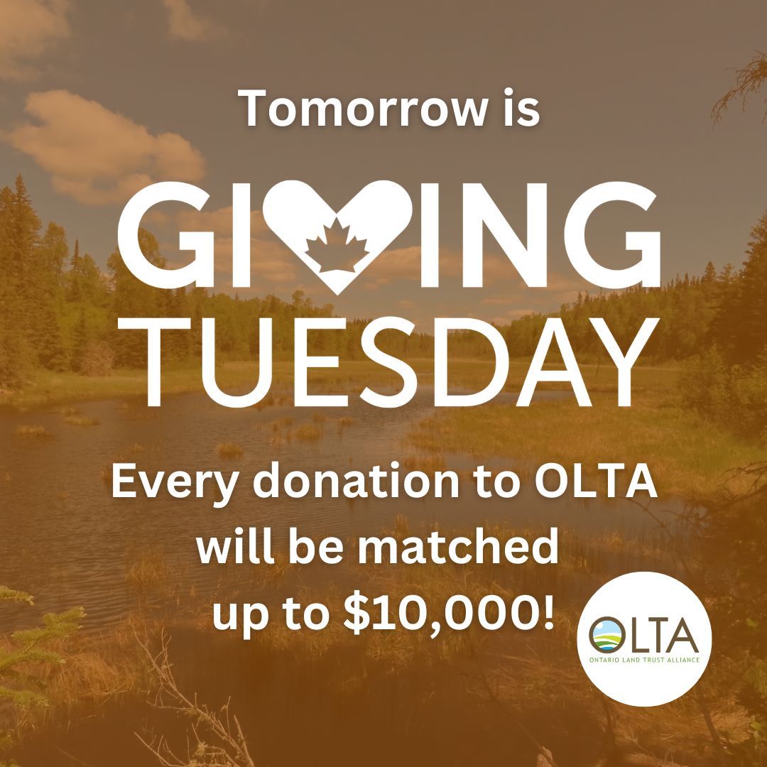 🌍💚 Giving Tuesday is tomorrow! 💚🌍

Tomorrow, December 3rd, the Ontario Land Trust Alliance is kicking off our Partners in Protection – Match the Moment campaign! 🎉

🔥 Our BIG goal? Raise the first $5,000 tomorrow to jumpstart our December $10,000 matching gift campaign!