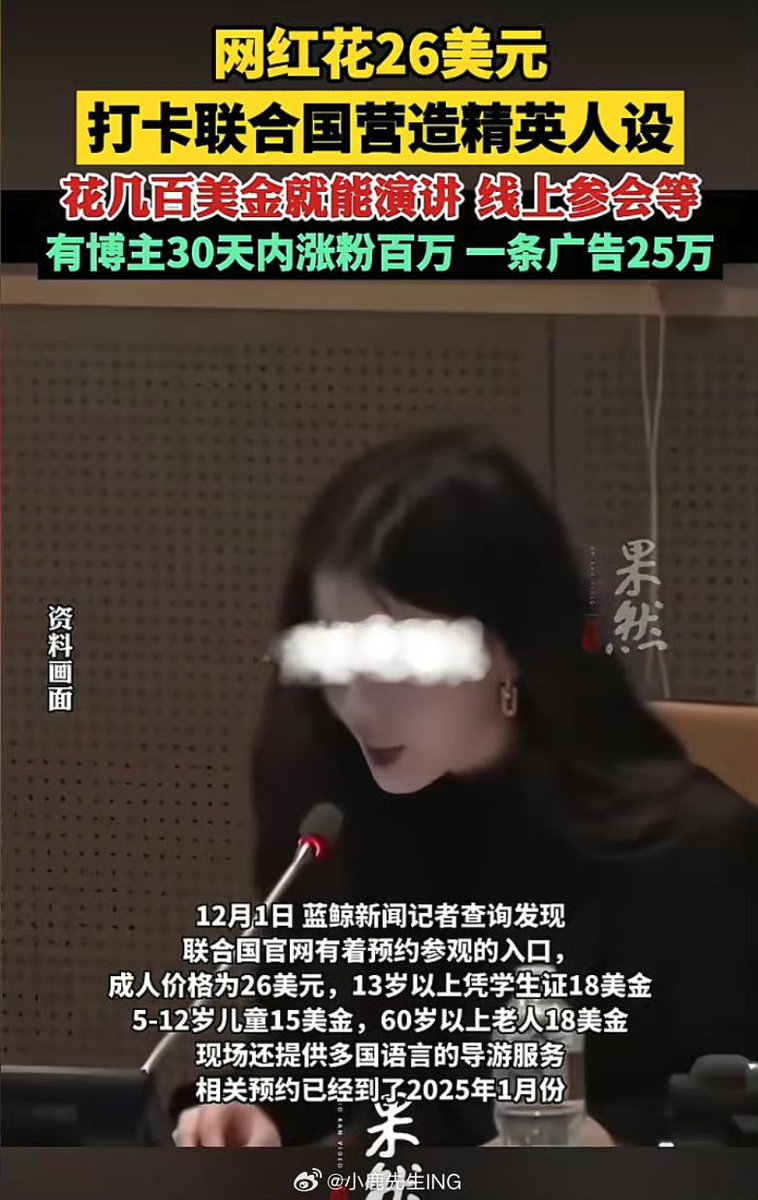 中国网红花钱去联合国打卡，然后立人设骗傻子