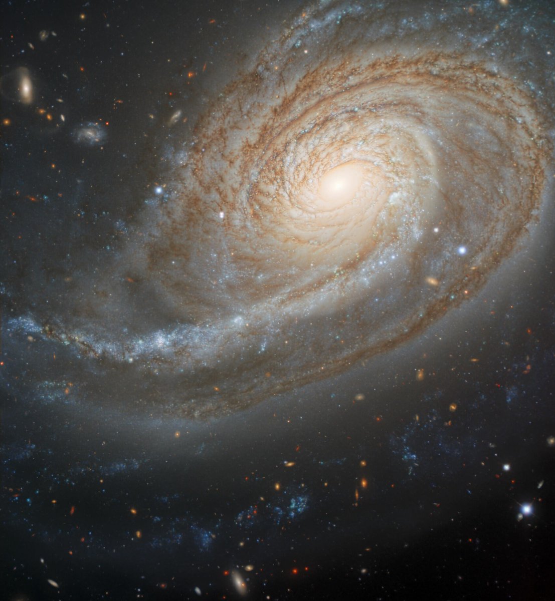 alex_riveiro's tweet photo. Esta curiosa galaxia espiral es Arp 78. Tiene un tamaño muy parecido al de la Vía Láctea y está a 100 millones de años-luz. Su llamativo brazo espiral curvado se debe a la interacción gravitacional con una galaxia cercana, NGC 770 (fuera de la imagen, en la parte superior derecha). De fondo, podemos ver multitud de galaxias todavía más lejanas. Crédito: NOIRLab/T. Rector/J. Miller/M. Zamani/D. de Martin et al. #FelizLunes