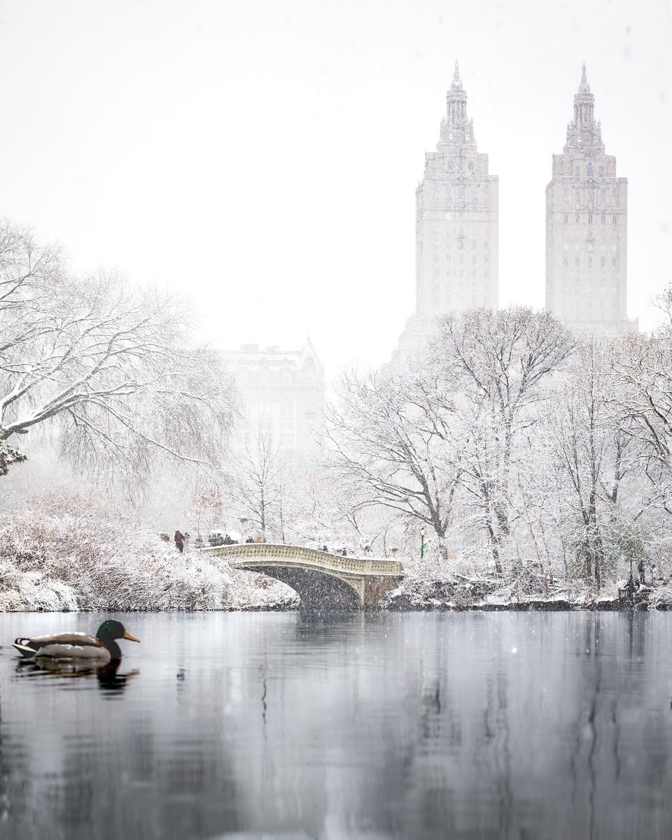 Paul Seibert tweet media