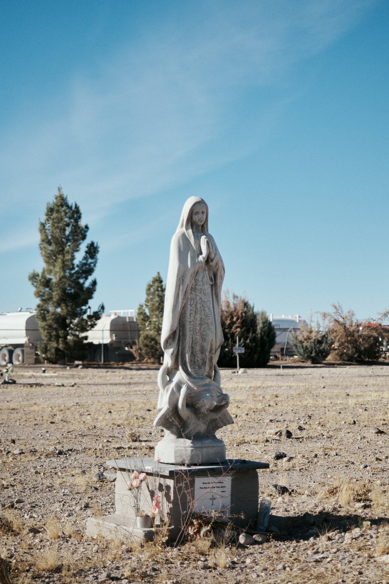 Niall O’Brien tweet media