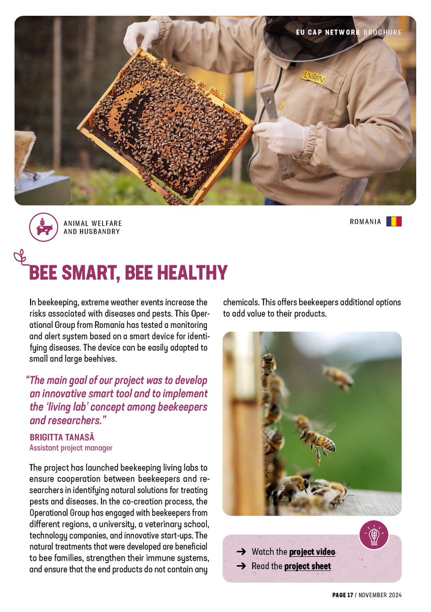 GalNapoca's tweet photo. 🎉 Exciting news! Our Bee Smart, Bee Healthy project is featured in the EIP-AGRI Innovation Awards 2024 brochure @eucapnetwork! 🐝 Combining tech, research &amp; collaboration, it helps beekeepers combat pests with Smart Hives &amp; Living Labs. Huge thanks to all partners! #Innovation https://t.co/D6VopTOoI2