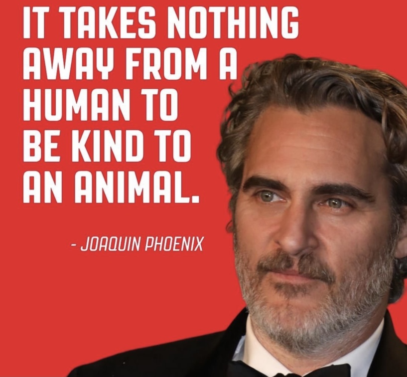 veganfuture's tweet photo. https://t.co/HEaxoUFxXT
