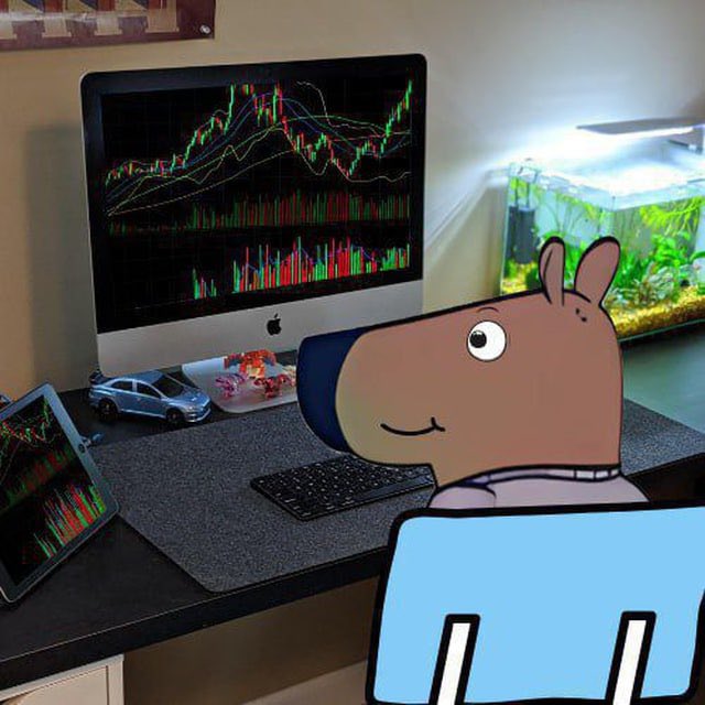 CRYPTO LIFE tweet media