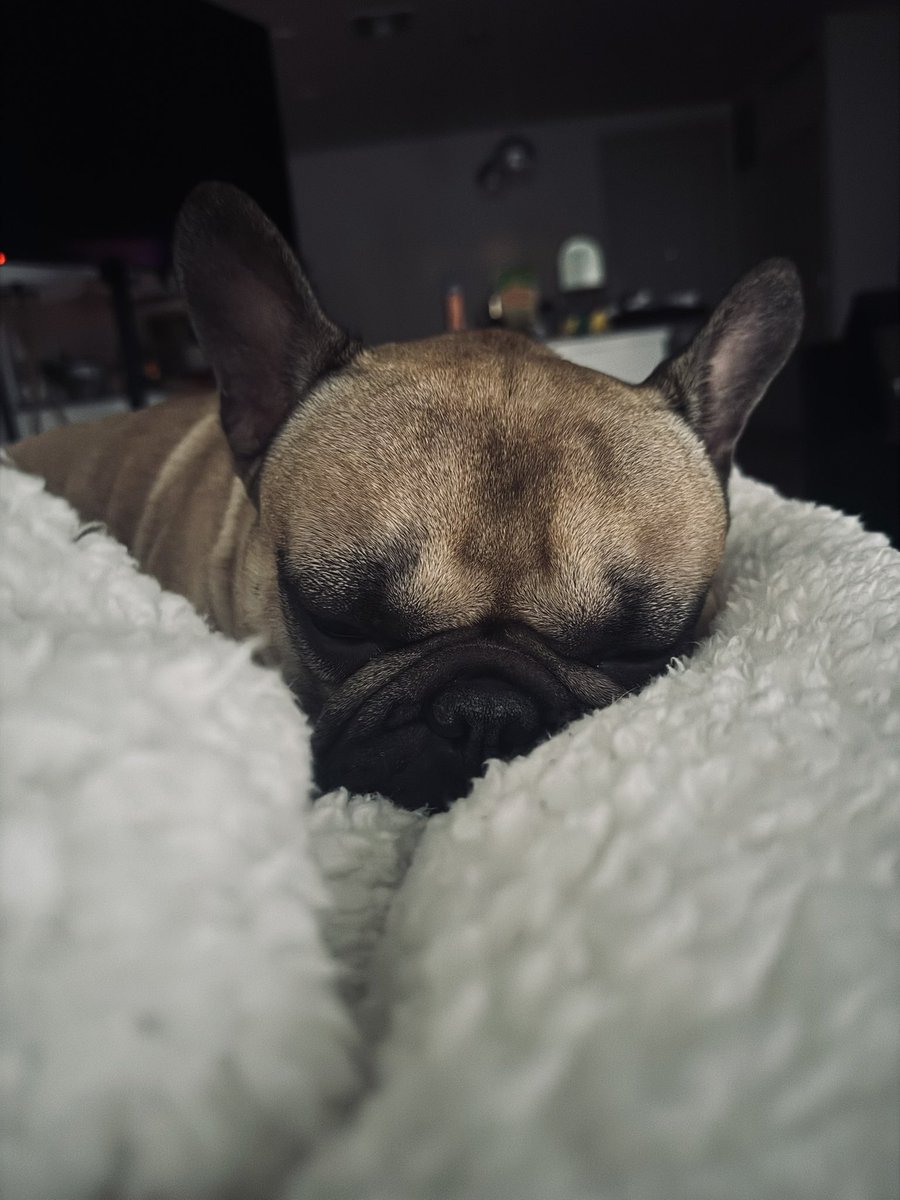 Wittlebears's tweet photo. Sweet pea 🥹❤️ https://t.co/dZKFW1nNzp