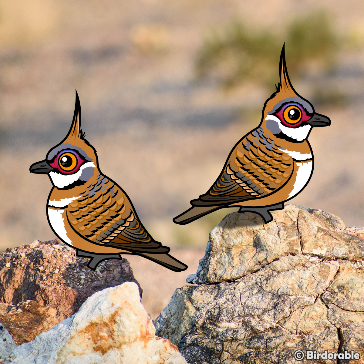 birdorable's tweet photo. Today we're concluding our 2024 Birdorable Bonanza with the Spinifex Pigeon! This unique and striking bird is native to the arid regions of Australia. https://t.co/EiwWjYKvZo