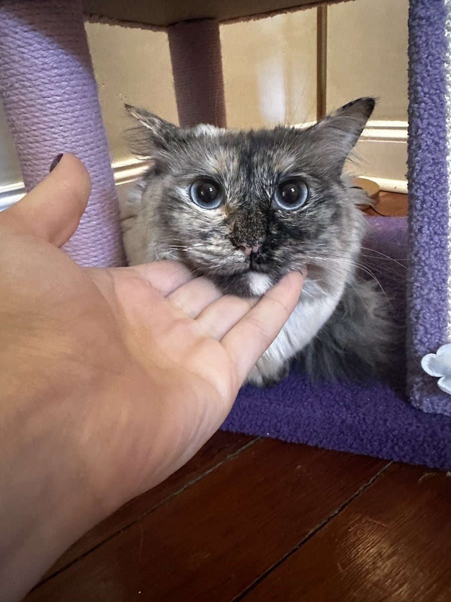 behold Mine perfect Fase 😇😀