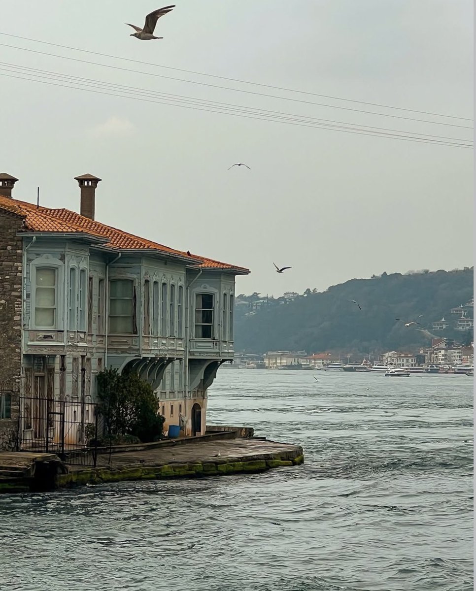 KUIntAdmissions's tweet photo. Sailing through stunning Bosphorus views.
#StudyinTürkiye #IstanbulViews #bosphorusferry #studyabroad https://t.co/JyLaOLV6PT