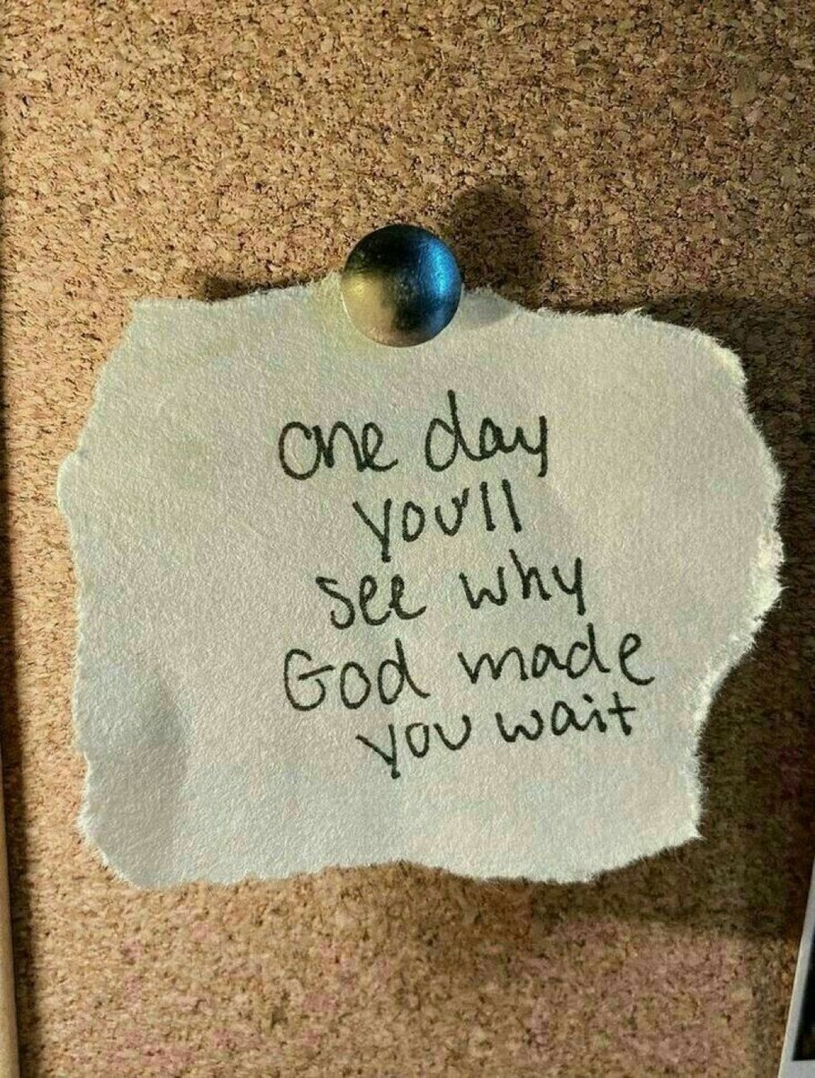 educatedhustler's tweet image. 