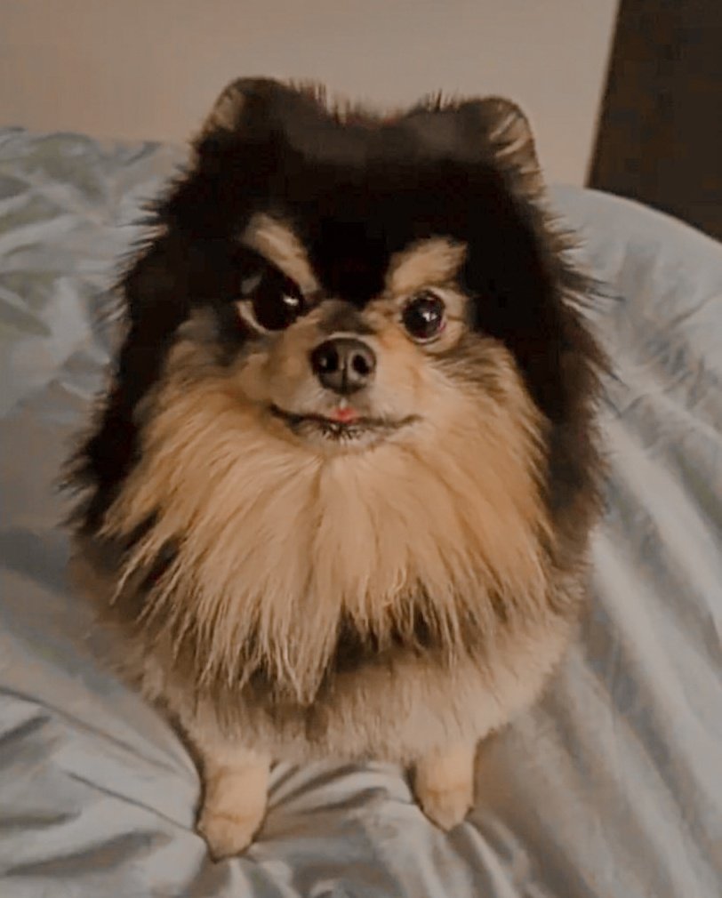 Collecting a few moments of Kim Yeontan for us to cherish and remember forever ♡

a thread —

let's grow up with our tan !