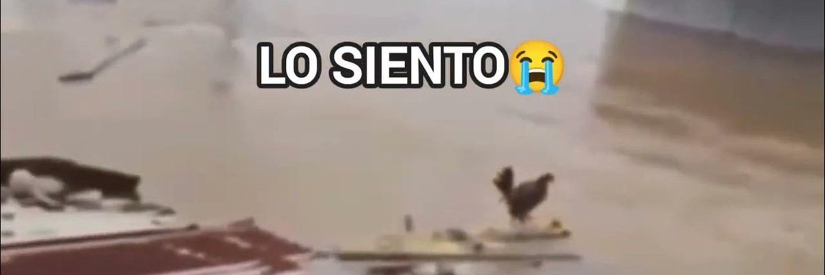 sientolowilson's tweet photo. @CarsonYur i think $losien  🐔🚀
caCYwoKmy37dnQAY56WVYSzJE9A3QxAyyjSCZrwujPZqPD https://t.co/QElfCy33Az