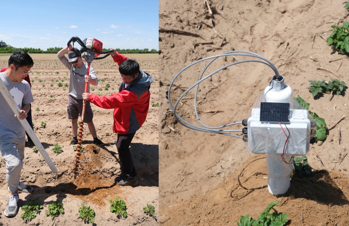 How wet is America's soil? Nobody really knows, but CALS scientists are leveraging AI to map soil moisture across the country, which could be a game changer for farmers, climate models, and wildlife forecasts. grow.cals.wisc.edu/departments/fe…