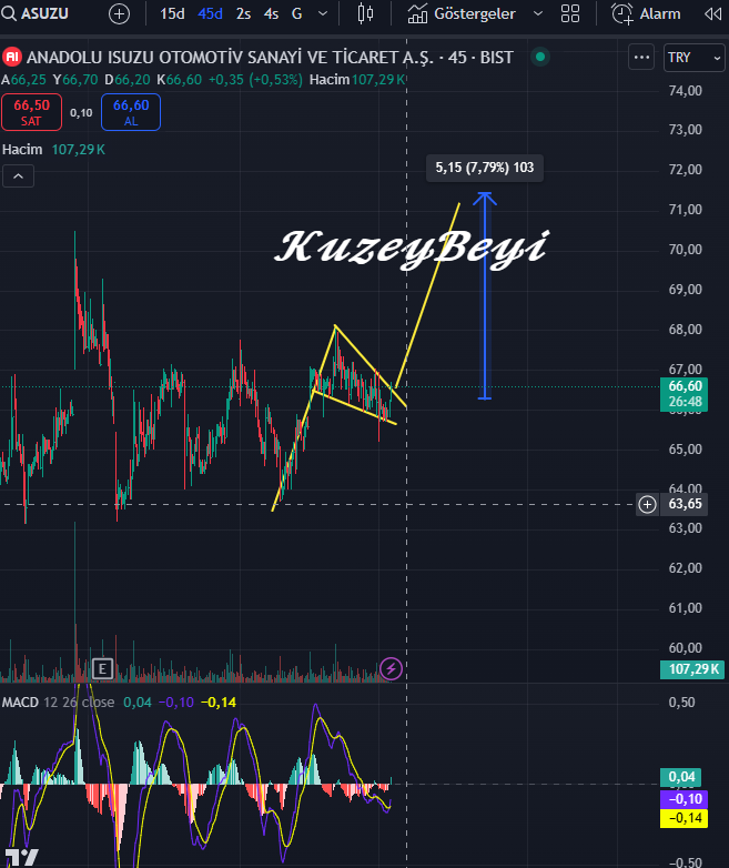 #ASUZU (ytd)

#kuzeybeyi