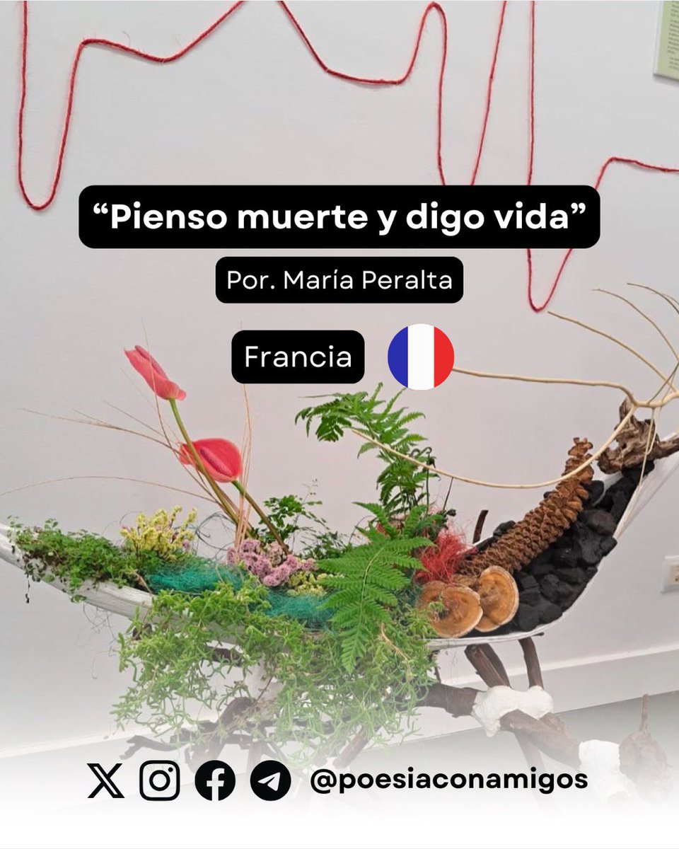 "¿Qué es la vida sino muerte?
Pienso muerte y digo vida,
Veo muerte y creo vida"

Iniciamos la semana con esta gran reflexión hecha poema titulado  "Piendo muerte y digo vida" de la poetisa francesa Maria Peralta, bienvenida a  #PoesíaConAmigos.

Aquí poesiaconamigos.com/2024/11/30/pie…