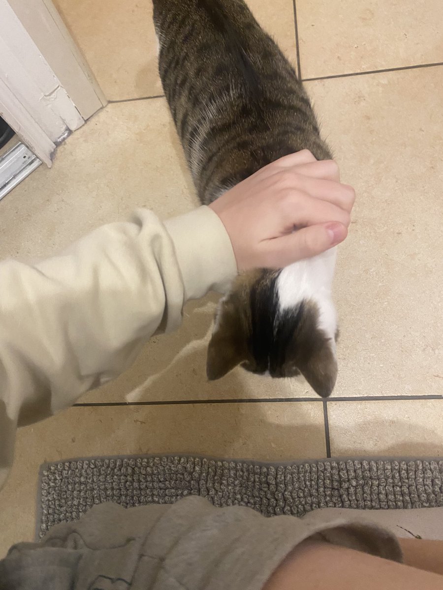 Artik cacher (@artiksecondaire) on Twitter photo 