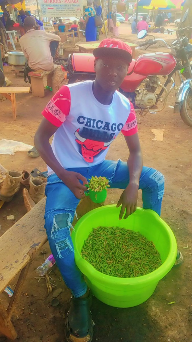 Biscuit Enasana tweet media