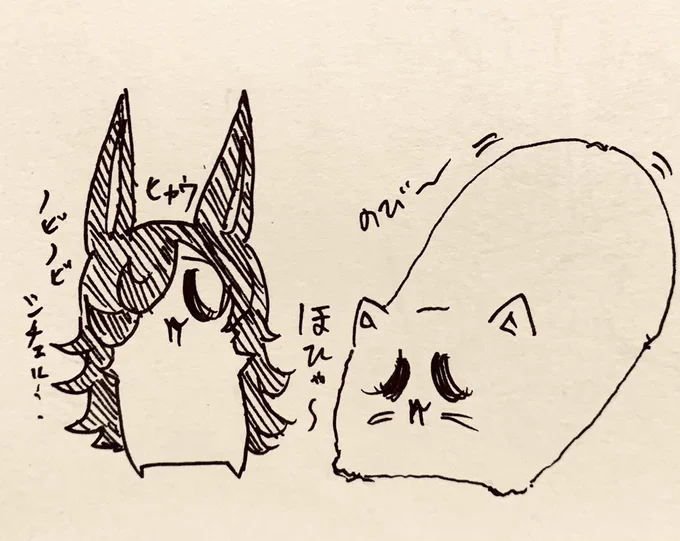 寝落ちしそうなので寝ます…おやすみなさい💤 