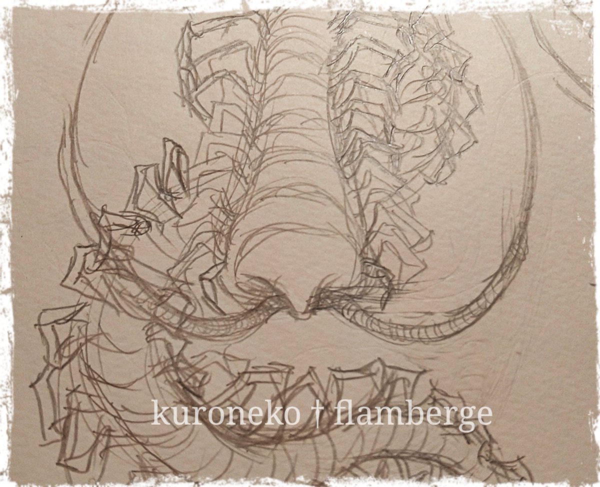 描き溜めてるクリーチャーのイメージラフから三点選んでみた。やっぱりオリジナルのモンスターコレクション作ってみたい。 