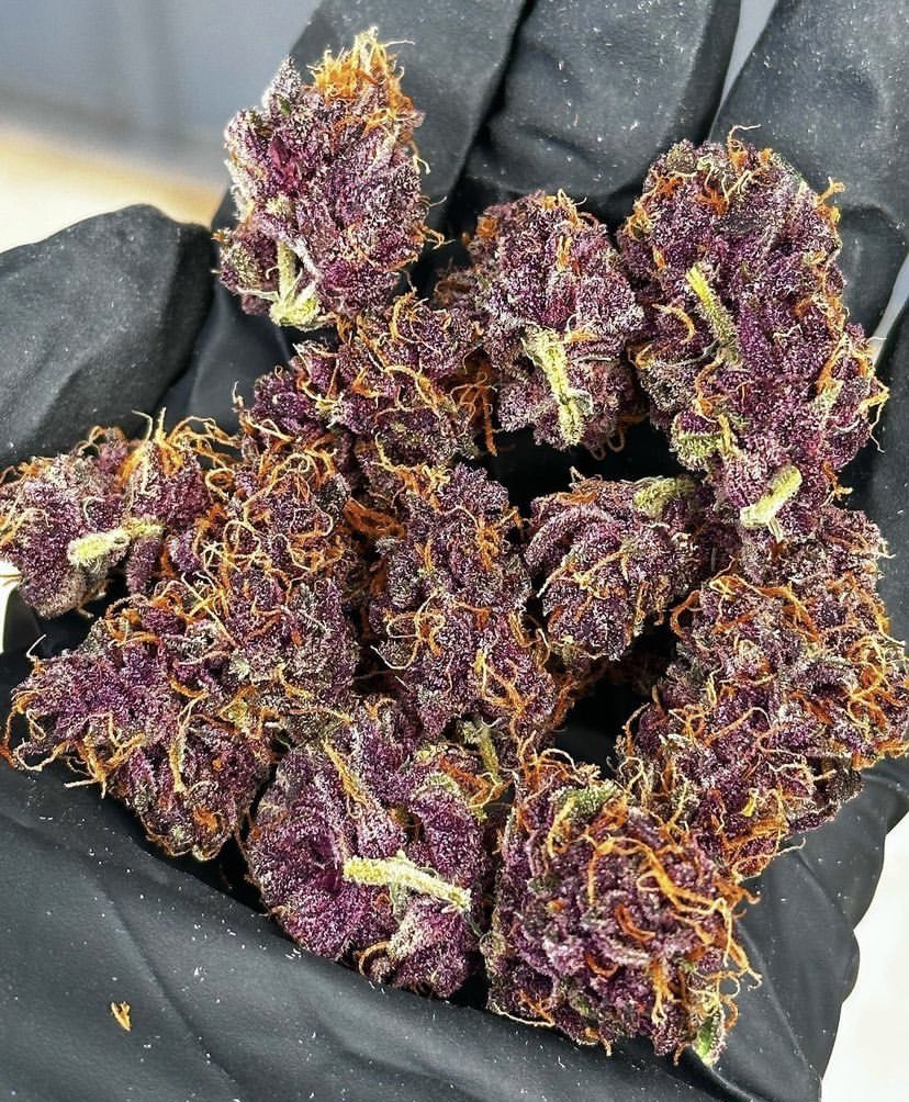_StonersRUs_'s tweet photo. 🍇 Beartooth Biscotti 🍇 https://t.co/sEmEPaszvR