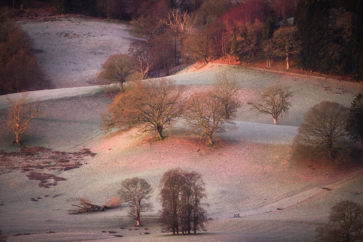 David Rippin🏔🌳📷🧗‍♂️🚴‍♂️🇪🇺 tweet media