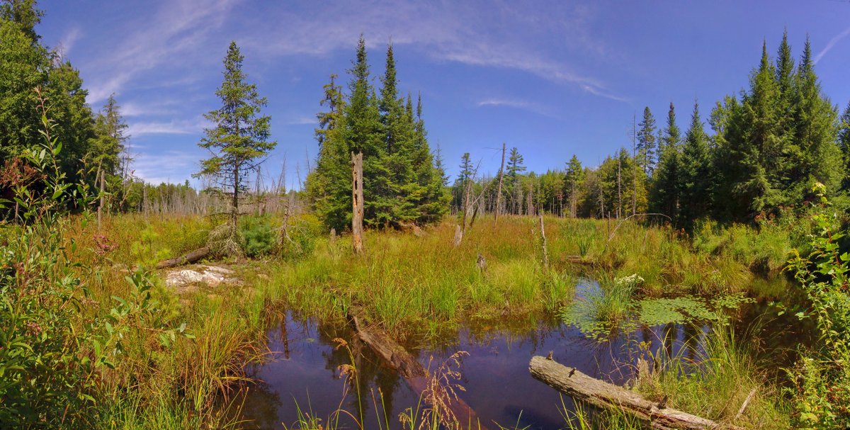 Le Fonds des solutions climatiques axées sur la nature accepte les demandes! 🌱

Votre projet vise à atténuer la dégradation d’#écosystèmes risquant d’être modifiés, à les restaurer ou à mieux les gérer? Faites une demande : ow.ly/eWNL50UifKU

#SolutionsFondéesSurLaNature