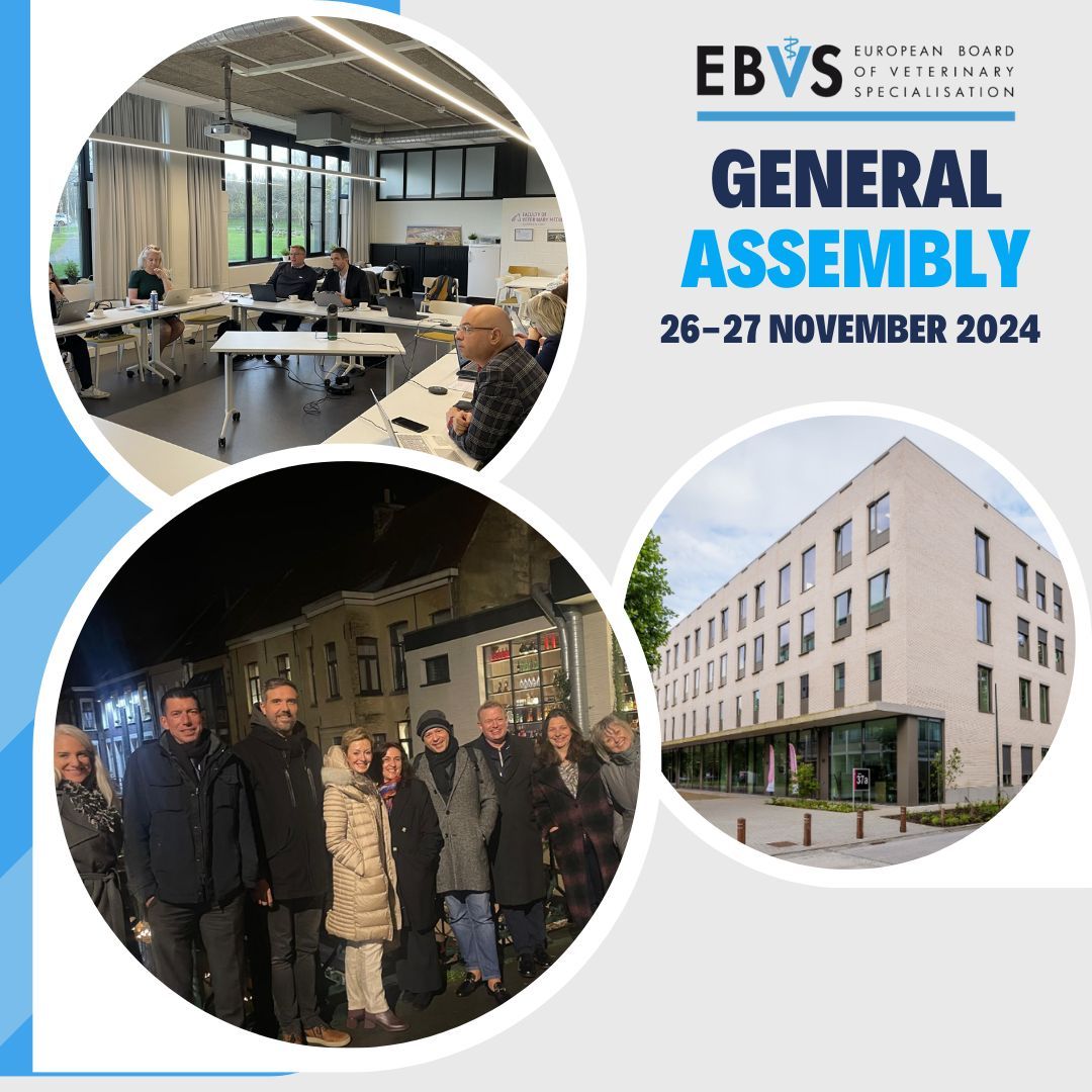 Last week, we gathered at Ghent University for the EBVS General Assembly! As @Amanda Boag, our Treasurer, said, “Our GA, with all EBVS colleges represented, is a great way to share ideas and discuss how we can continue to evolve and shape specialisation across Europe.”