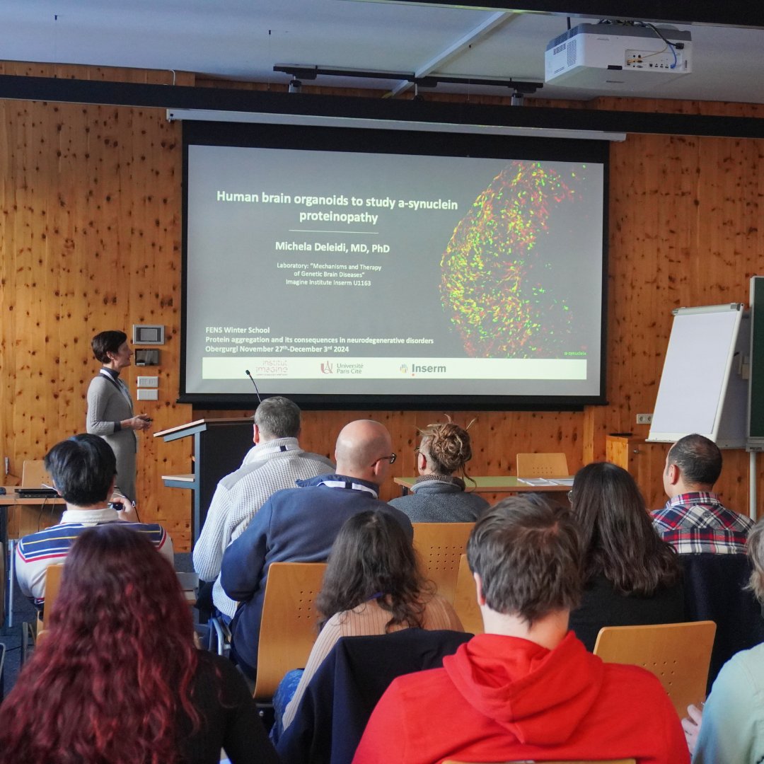 FENSorg's tweet photo. ❄️ #FENS-Hertie #WinterSchool | Day 3-4 Wrap-Up

🏔️ Between lectures, poster sessions, snow walks, and fireplace chats, it's been a busy weekend here in Obergurgl!

We've explored everything from #Alzheimers to #proteinopathy, and there's still more to learn! 🧠

#FENSSchool https://t.co/ZzvULRus3E