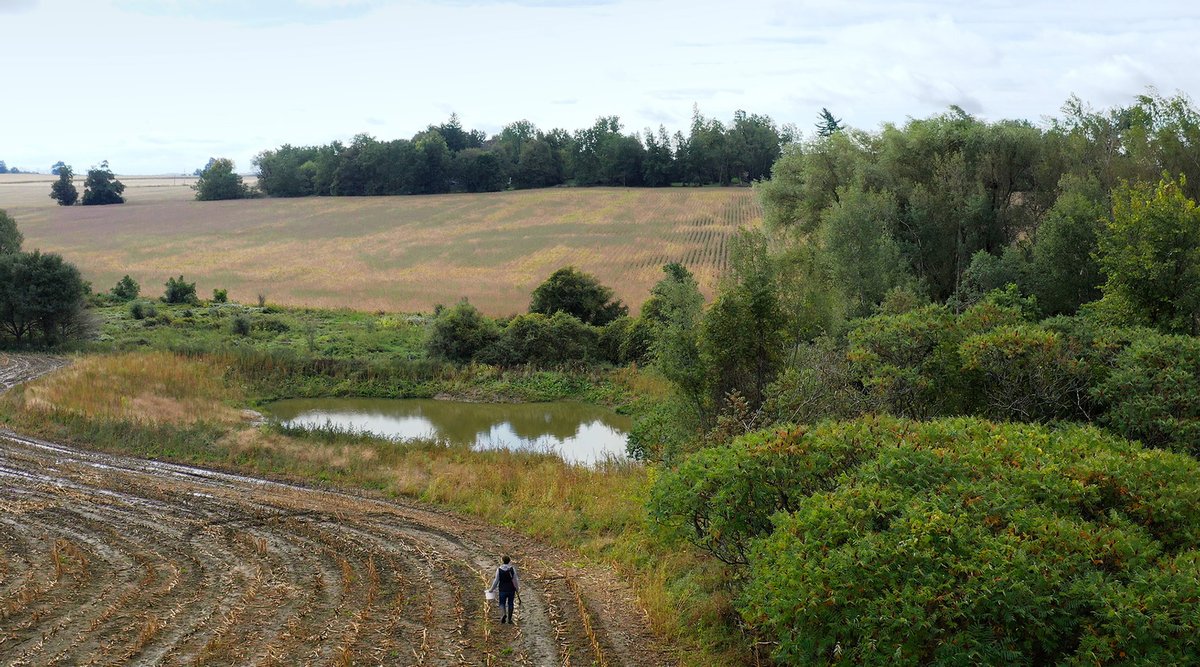 Soil and wetlands have more in common than you think! 🦆🌱 From flood protection to carbon capture, these ecosystems are vital for communities and biodiversity.

Stay tuned this week for a new program to help farmers boost productivity and environmental benefits!

#WorldSoilDay