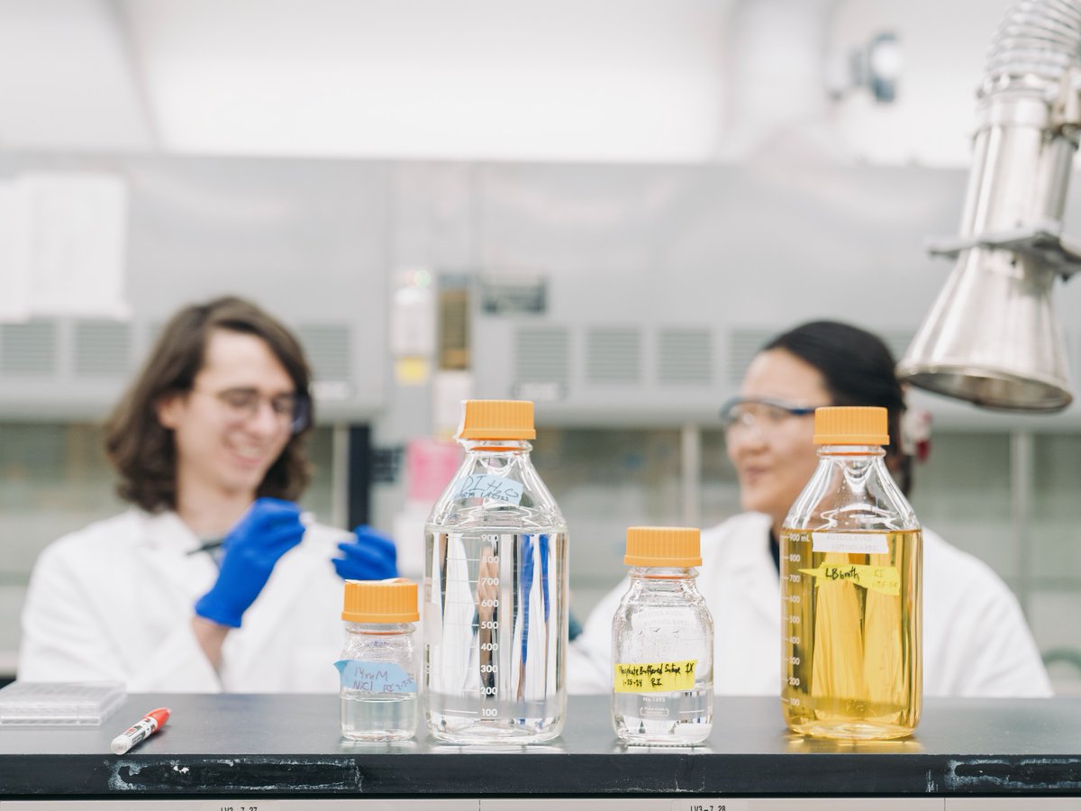 In the lab with us is a great place to be 🔬🥼

The clock is ticking down on the fall application deadline, and we want to see yours! You can apply today via esf.edu/apply