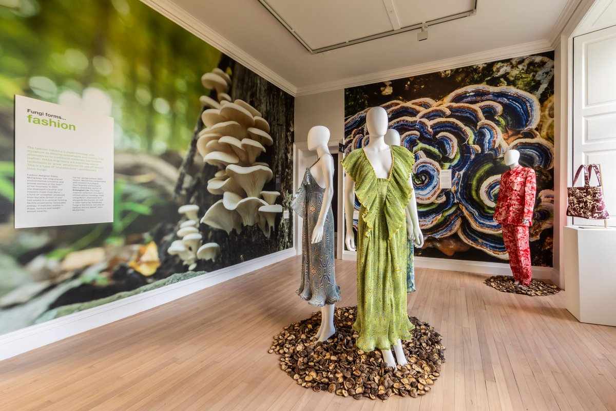 RBGE Creative Programmes (@rbgecreative) on Twitter photo 🍄Fungi Forms: Fashion👗
The third room of Fungi Forms explores Fashion. Today the fashion industry is experimenting with mycelium to develop sustainable and cruelty-free alternatives to traditional materials, particularly leather.
<a href="/TheBotanics/">Royal Botanic Garden Edinburgh</a> 🍄Fungi Forms: Fashion👗
The third room of Fungi Forms explores Fashion. Today the fashion industry is experimenting with mycelium to develop sustainable and cruelty-free alternatives to traditional materials, particularly leather.
<a href="/TheBotanics/">Royal Botanic Garden Edinburgh</a>