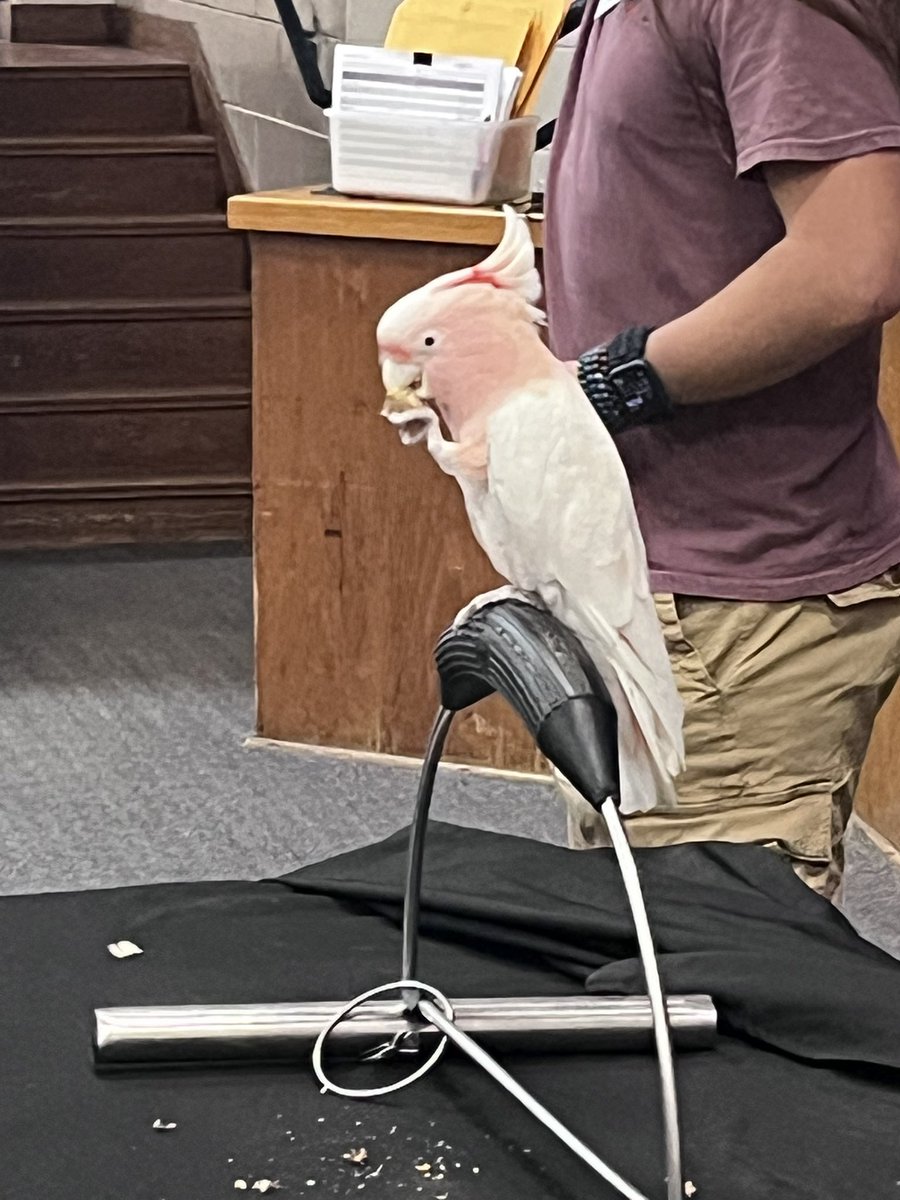 Weiss School of Leadership tweet media