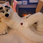 Photo by Muttslut (@Mutt_Slut)