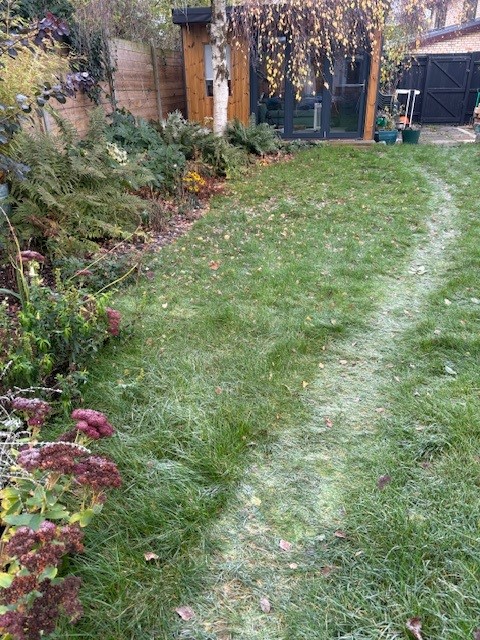 Mari Williams, The Mind Architect tweet media