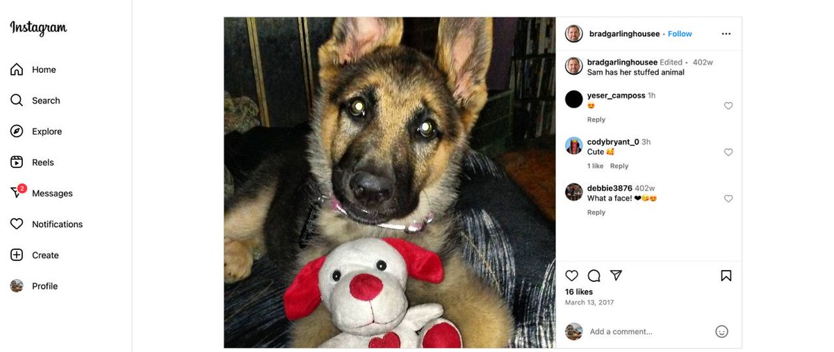 SAM_BradsDOG_CTO tweet media