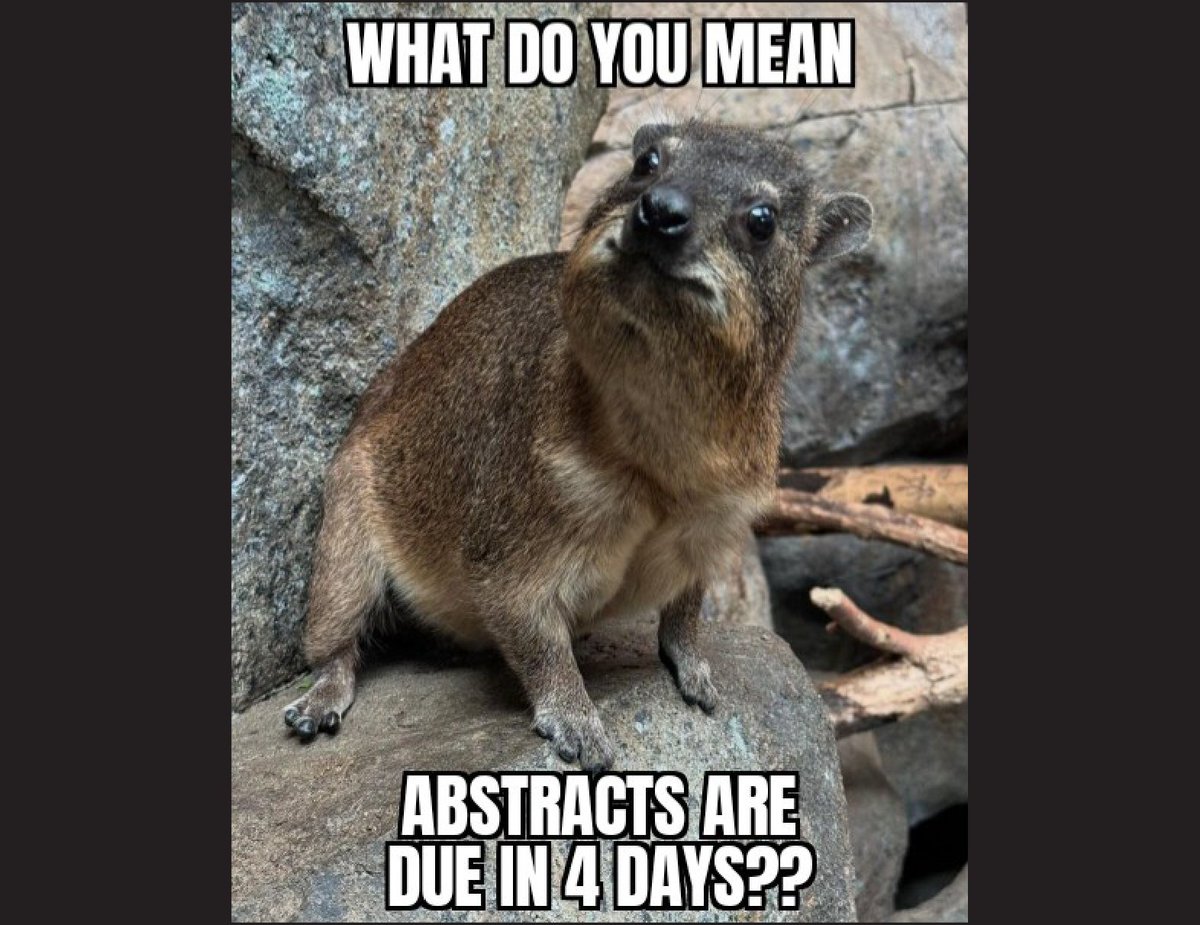 Don't let the food coma take hold! Get motivated and submit your abstract by Friday to be considered for an oral presentation at Anatomy Connected 2025! ow.ly/SEOS50Uj8XO

#Anatomy25 #anatomy #science #research #education #AAA