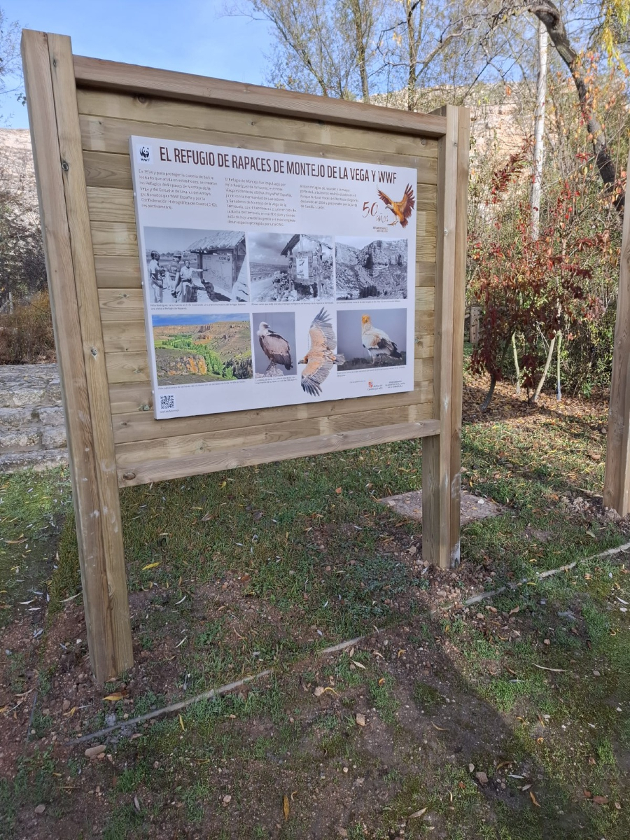 WWF España 🐼 tweet media