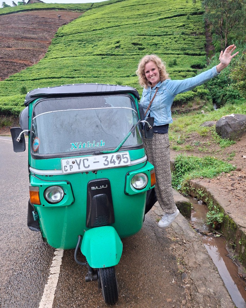 Projects Abroad tweet media