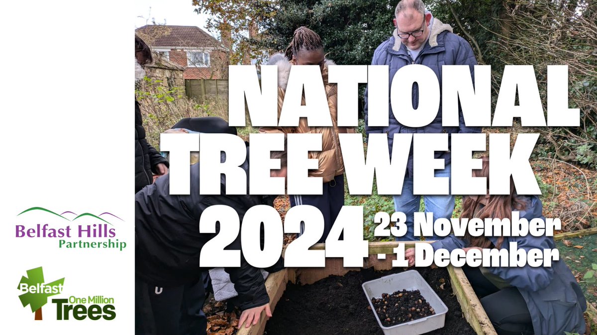 BelfastHills's tweet image. #NationalTreeWeek2024 took place from Saturday 23rd November – Sunday the 1stof December. To mark National Tree Week, @BelfastHills revisited the Forest in a Box project one year later to mark its progress.
belfasthills.org/newsroom/tree-…
#OneMillionTrees