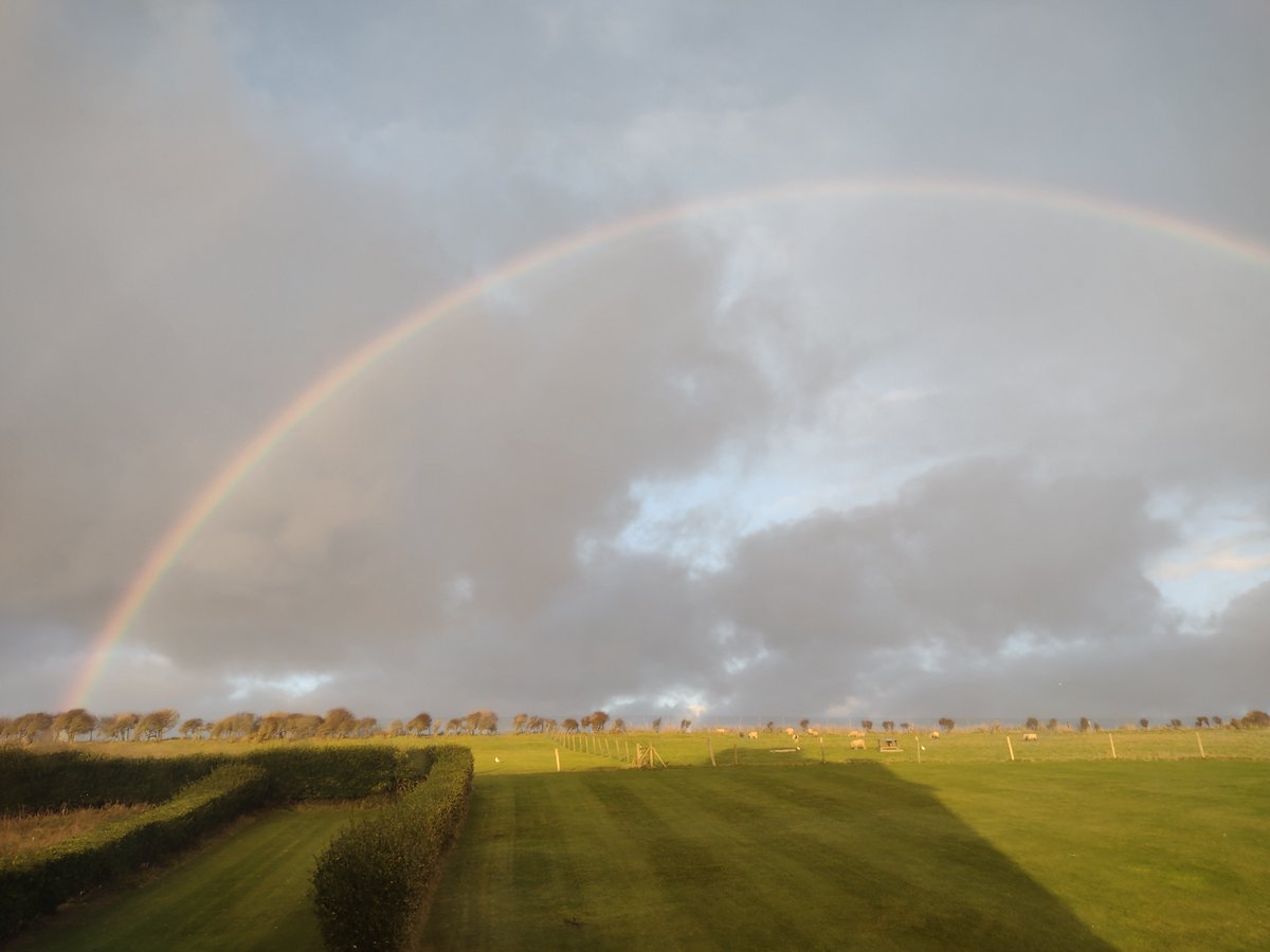 Roedean Houses tweet media