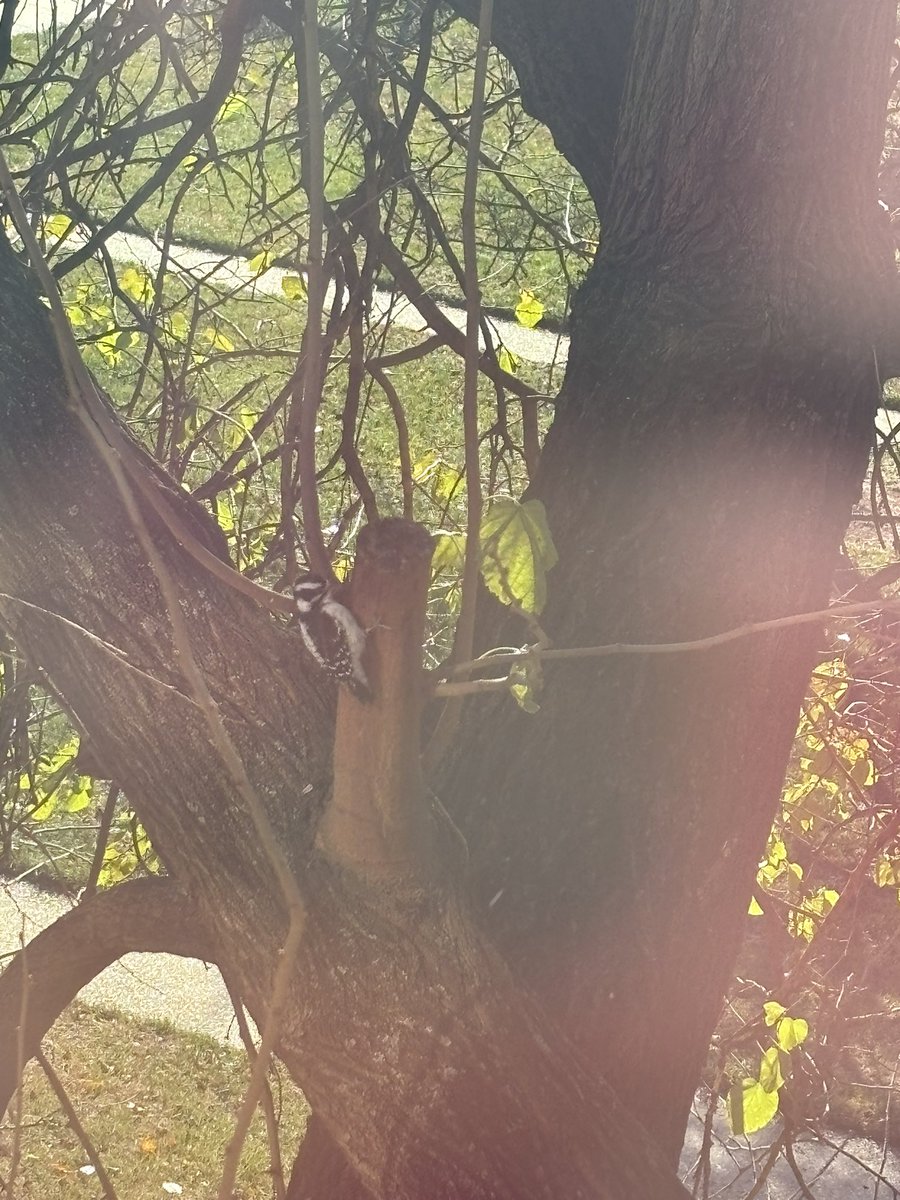 bex 💪 solidarity tweet media