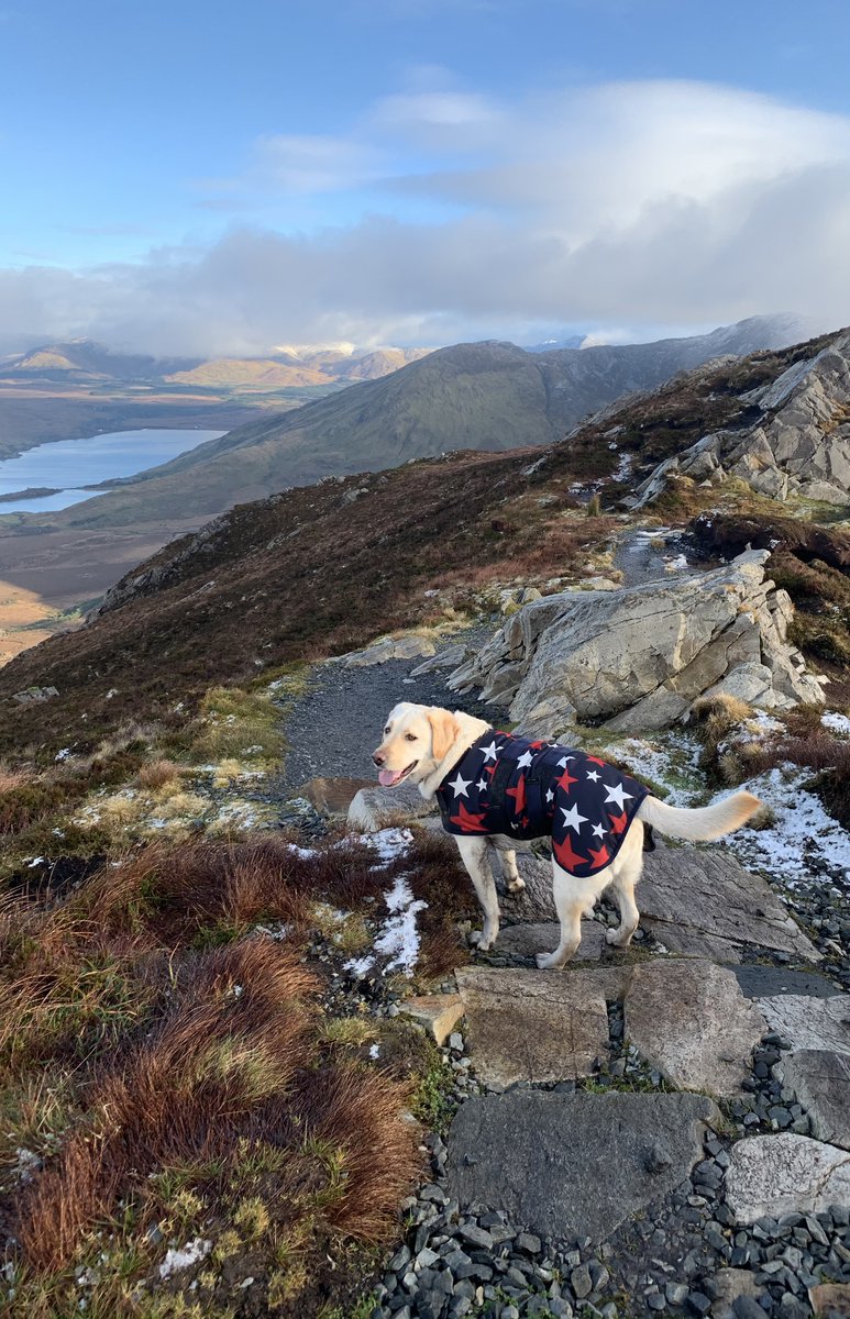 UniOfGalwaySU's tweet photo. 🐶Pet Day | Lá na bPeataí 🐈

📸Send photos of your pets to our Instagram to get them included in our pet day story today!

📸Seol grianghraif de do pheataí chuig ár gcuntas ar Instagram agus cuirfidh muid san áireamh iad i Scéal Lá na bPeataí!

#DoChomhaltas #StudyWeek https://t.co/lM4cqA9AqJ